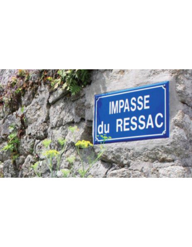 Plaque de rue alu 450 x 250 murale